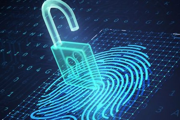digital fingerprint with padlock