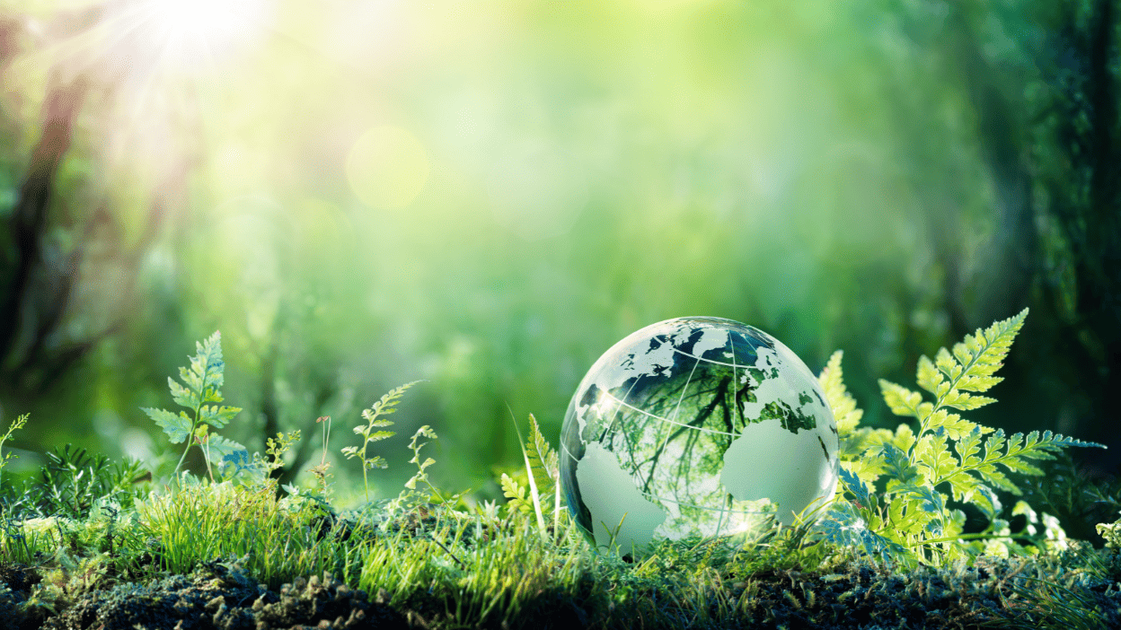 woodland scene with glass globe