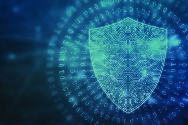 data protection shield