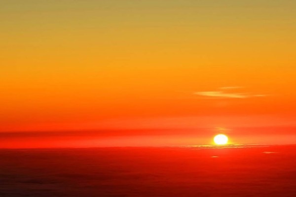 large tree silhouetted against the sky